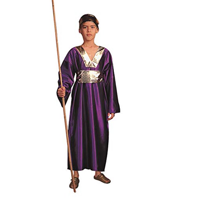 RG Costumes Wiseman Costume, Child Medium, Purple