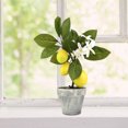 thumbnail image 2 of Fake Tree Fruit Simulation Lemon Bonsai Garden For Home Party Living Room Ornament Plants Potting, 2 of 5