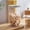 M, variant on Dvkptbk Airtight Food Storage Containers Wholesome Plastic Cereal Container with Easy-Lock Lid for Kitchen Pantry Organization and Storage, 2200ml