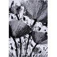 thumbnail image 1 of Ladole Rugs Poppy Floral Pattern Contemporary Indoor Area Rug Carpet in Grey Black, 7x10 (6'2" x 9'2", 190cm x 280cm), 1 of 6
