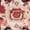 Red / Ivory, variant on SAFAVIEH Charleston Zharko Overdyed Floral Area Rug