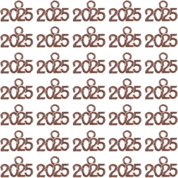 KAKOWELY Breloques pour Fabrication de Bijoux 100 Pcs Bricolage 2025 Breloques Fabrication de Bijoux Pendentifs pour Bracelet Boucles d'Oreilles Porte-Clés0,59"X0,39"X0,04 Pouces