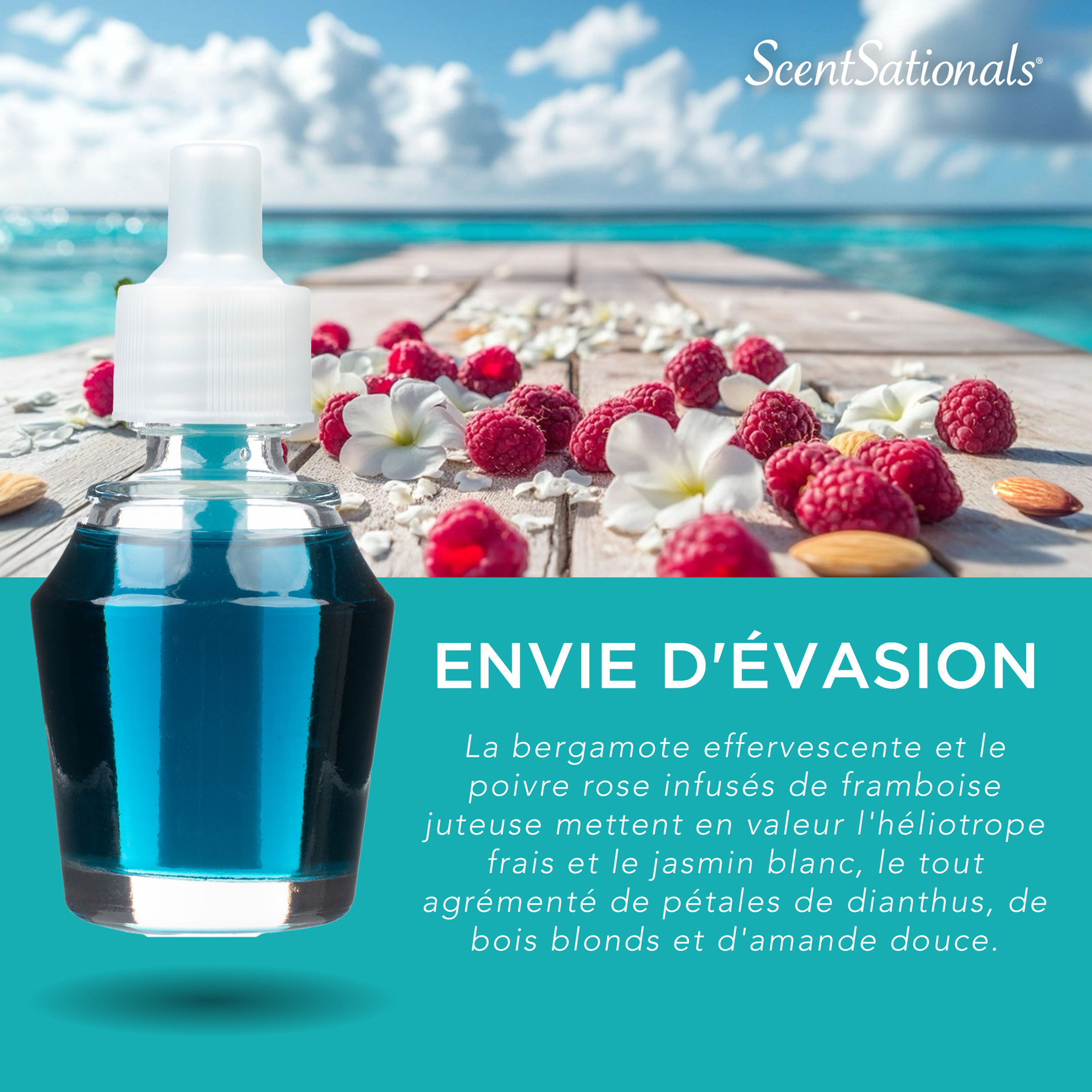 D'huile parfumée Scentsationals - Wanderlust