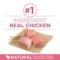 thumbnail image 4 of Purina ONE SmartBlend Formule Chiot en Santé à l'Agneau, Nourriture Sèche pour Chien 12kg, 4 of 10