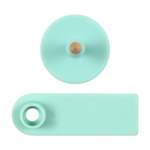 100 Pcs Étiquettes d'Oreille de Bétail Vierges Étiquettes d'Oreille de Mouton pour la Gestion de l'Information d'Identification du Bétail