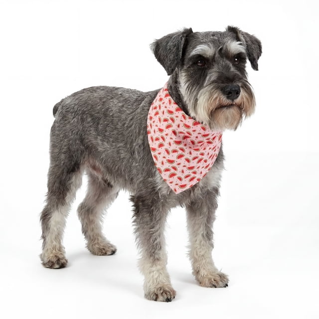 One Paw, Fun Print Dog Watermelon Bandana, Lightweight, Multiple Sizes, Pink, for Dogs