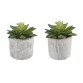 thumbnail image 1 of Flora Bunda CS2243E2 Set of 2 Pattern cement pot, 1 of 4