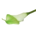 thumbnail image 1 of Artificial SNAIL GARDEN Latex Calla Lily Bundle with Green Leaves, 1 of 12