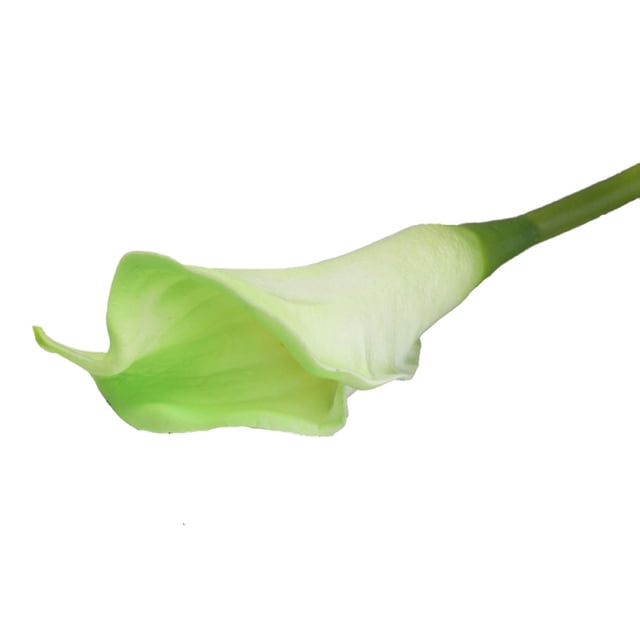 Artificial SNAIL GARDEN Latex Calla Lily Bundle with Green Leaves