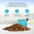 thumbnail image 3 of Blue Buffalo Life Protection Fourmule Nourriture Naturelle Pacquet Valeur Pour les Chiots, 3 of 9