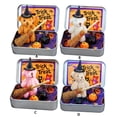 thumbnail image 2 of stanreset Handmade Cute Witch Teddybear In Box Miniature Witcher With Broom Pumpkin Cat Halloween Party khaki, 2 of 6
