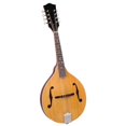thumbnail image 3 of Saga AM-10 A-Model Mandolin Kit, 3 of 3