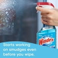 thumbnail image 3 of Windex Original Blue Glass and Window Cleaner, Bottles Made from 100% Recycled Plastic, 3 of 5