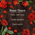 thumbnail image 4 of LITTLE TREES air freshener Rose Thorn 3-Pack, 4 of 10