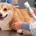 thumbnail image 3 of Low Noise Rechargeable Cordless Pet Grooming Clipper Trimmer Kit with Multiple Attachments for Efficient Cat Hair and Nail Care, 3 of 3