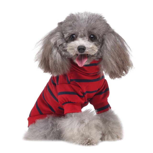 Vêtements pour Animaux Chandail Col Roulé Rayé Deux-Pièces Chandail pour Animaux