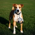 thumbnail image 4 of Hearth & Gear 16ft Retractable Dog Leash With Light And Dog Poop Bag Dispenser Retractable Dog Leash Training Walking Leash Upgraded Locking System Non Handle Small Dog Leash Strong Dog Leashes, 4 of 4