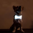 thumbnail image 2 of MesaSe MesaSe PENGXAING Chien LED Collier Multi-Fonction Corde de Traction Collier Lumineux Sangle Rose, 2 of 6