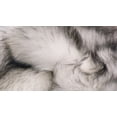 thumbnail image 3 of H-LUXE Hudson Faux Fur 5'X8' Rug, 3 of 3
