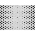 thumbnail image 1 of Ahgly Company Tapis d'Intérieur Lavables en Machine Rectangle Transitionnel Gris Platine, 4' x 6', 1 of 7
