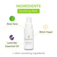 thumbnail image 3 of Sugar Me Smooth Bikini Sugar Wax Kit &acirc; Gentle On Skin And Less Painful Hair Removal In A Simple System For At-Home Brazilian, No Strips, No Heat, 3 of 9