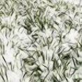 thumbnail image 2 of No-Till Winter Rye Seeds - 5 Lbs - Non-gMO Rye grain cover crop Seeds by Mountain Valley Seed company, 2 of 4