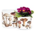 thumbnail image 3 of Grand Pot Botanique en Forme de Champignon, 3 of 5