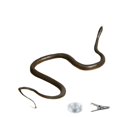 thumbnail image 1 of Penkiiy Golf Snake Prank with String and Clip ,Snake on A String Prank Props, Clip on Snake Prank for Teasing Friends, Realistic Snake Prank That Chases People, Snake Prank Never Gets Old, 1 of 8