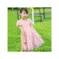 thumbnail image 4 of Robe Fille Papillon 3D Rose Haut en Dentelle Doux Col Carré Manche Courte 5 Ans, 4 of 6