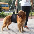thumbnail image 2 of Dog Lifting Harness, Easy To Use Black Dog Dog Support, 4 Sizes For Dogs For Canines Aid, 2 of 8