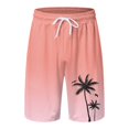 thumbnail image 1 of Shorts de Planche pour Hommes pour la Plage avec Doublure en Maille et Poches Pratiques de Maillots de Bain pour Hommes, 1 of 4