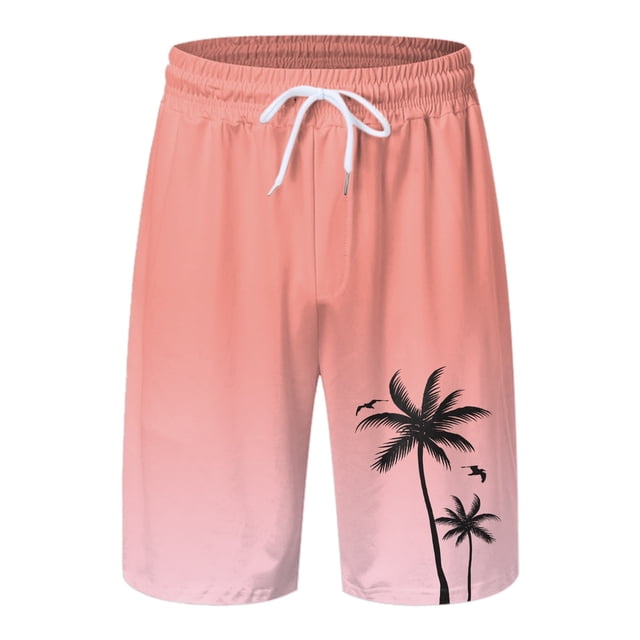 Shorts de Planche pour Hommes pour la Plage avec Doublure en Maille et Poches Pratiques de Maillots de Bain pour Hommes