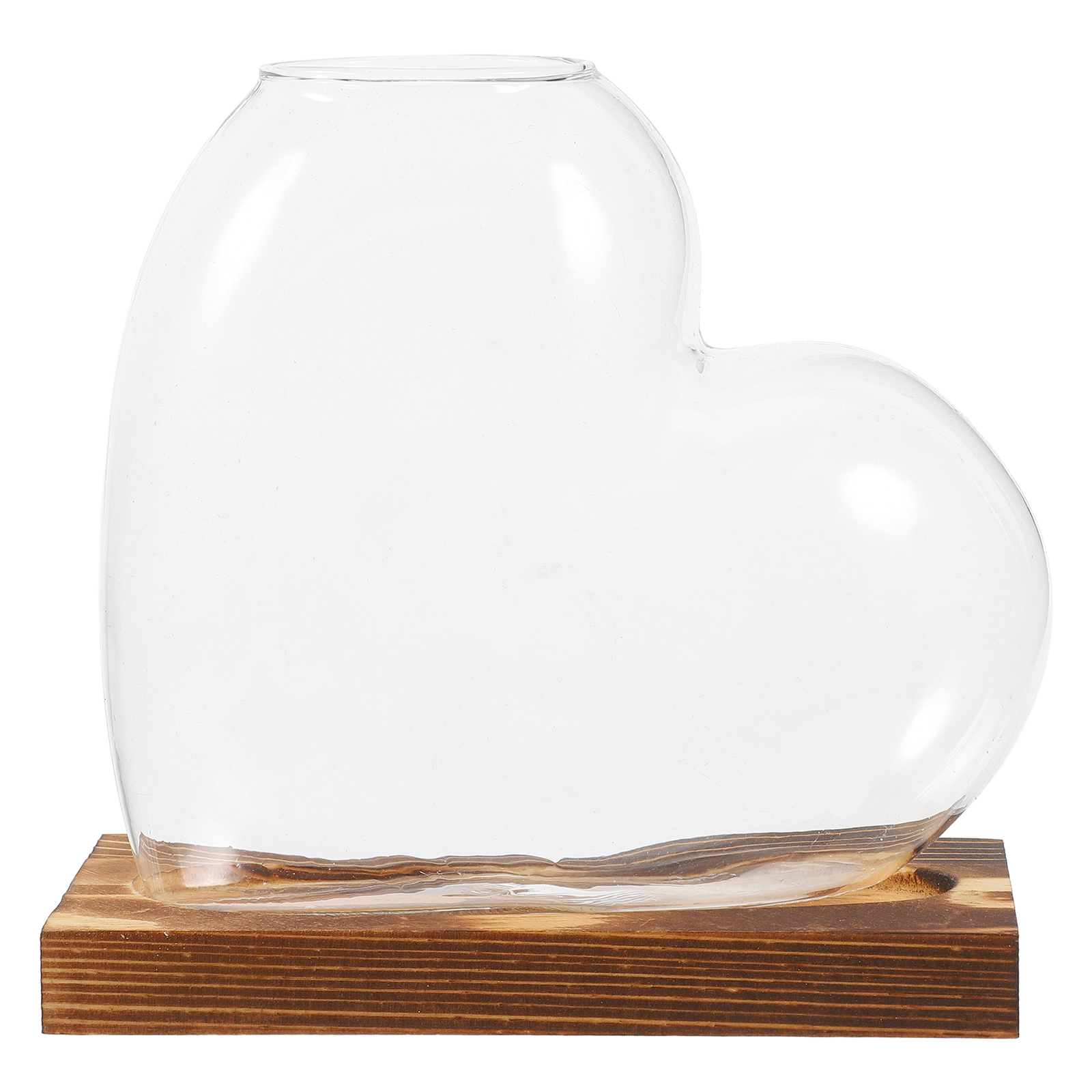 Miangastore Hydroponic Glass Vase For Indoor Plants Water Propagation Station Terrarium Container With Wooden Base For Desktop Or Window Display