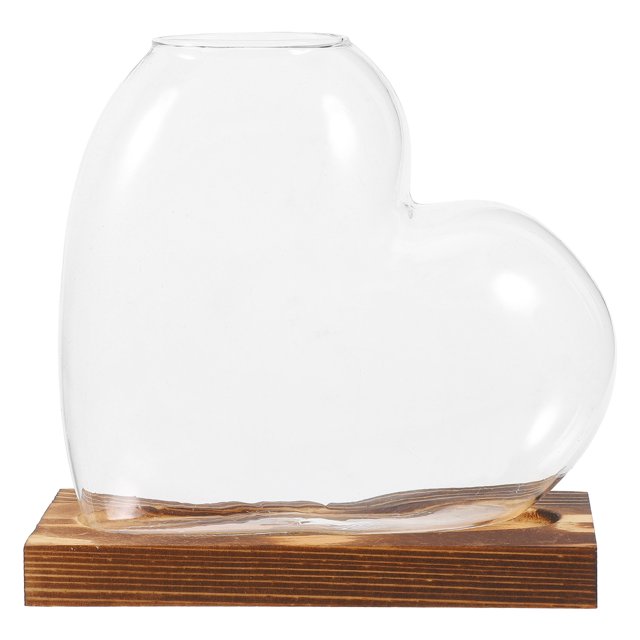 Miangastore Hydroponic Glass Vase For Indoor Plants Water Propagation Station Terrarium Container With Wooden Base For Desktop Or Window Display