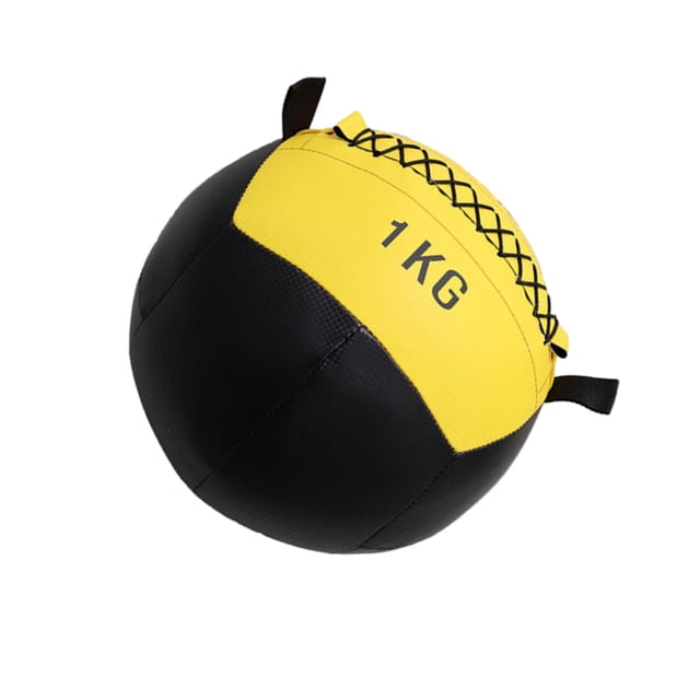 pitrice 30cm Fitness Wall Ball Weighted Core Training Strength Home Workout