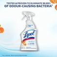 thumbnail image 5 of Lysol Simply™ All Purpose Cleaner,Multi-surface cleaner trigger, Orange Blossom, 650 mL, 5 of 5