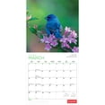 thumbnail image 3 of Canadian Geographic Birds 2027 Square, 3 of 3