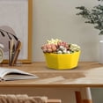 thumbnail image 1 of Large Diameter Modern Planters With Holes Ideal For African And Various Indoor, 1 of 6