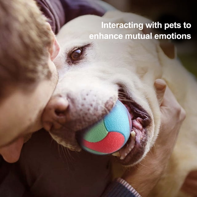CBFFDC TPR Dog Ball High Bouncy Interactive Dog Ball Toy Bite Resistant Relieves Boredom Color Blocked Training Ball for Dogs