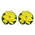 thumbnail image 1 of QualitChoice Artificial Lotus Replacement Simulation Outdoor Garden Park Pond Pool Photography Fake Water Flower Decor Yellow 2PCS, 1 of 6