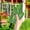 B, variant on RKSTN Courtyard planting Cactus Green Plants Courtyard Garden Outdoor Decoration Plugin