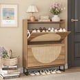 thumbnail image 3 of Conate Rattan Shoe Storage Cabinet with 2 Flip Drawers, Freestanding Narrow Shoe Rack Cabinet with Metal Legs for Entryway, 3 of 9