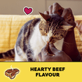 thumbnail image 4 of Temptations Hearty Beef Flavour Soft & Crunchy Adult Cat Treats, 4 of 10