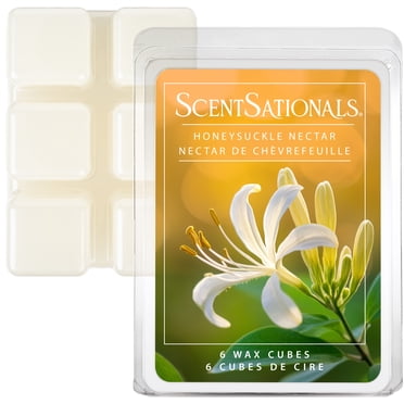 Cubes de cire parfumée ScentSationals - Honeysuckle Nectar