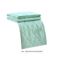 thumbnail image 3 of Meitianfacai Skin-friendly Plain Printed Washed Cotton Summer Quilt Ventilation Quilt, 3 of 8