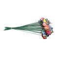 thumbnail image 4 of Décorations de Piques, Piquets Décoratifs PVC Simulation Vive 50Pcs pour le Jardin, 4 of 8