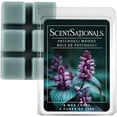 thumbnail image 1 of Cubes de cire parfumée ScentSationals - Bois de patchouli, 1 of 6