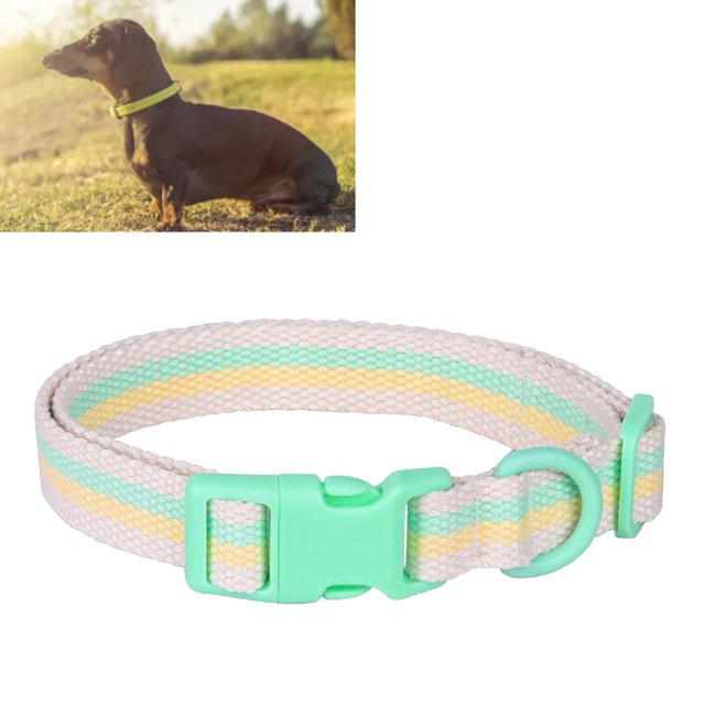 Collier pour Animaux de Compagnie, Collier pour Chien en Polyester Réglable pour une Utilisation Quotidienne pour Chien de Petite et Moyenne Taille, Orange, Vert