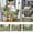 A, variant on Binwennn Floor Carpets Area Rugs Living Room Rope Throw Blanket Easter Bunny Pattern Soft Velvet Carpet Festive Atmosphere Cute Decoration A Must Have Carpet For A Warm Home 40X60CM B1