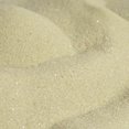 thumbnail image 1 of Sandtastik Classic Sable Coloré, Sauge - 25 lb, 1 of 5